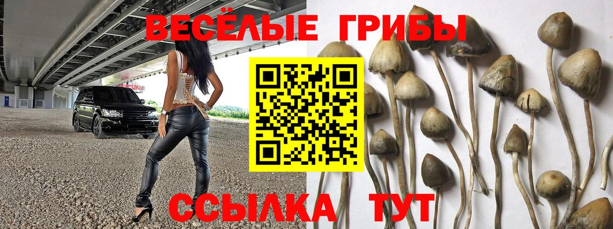 Псилоцибиновые грибы Magic Shrooms  Псилоцибиновые грибы ЛСД  где можно купить наркотик  Вход с VPN  Кизилюрт 